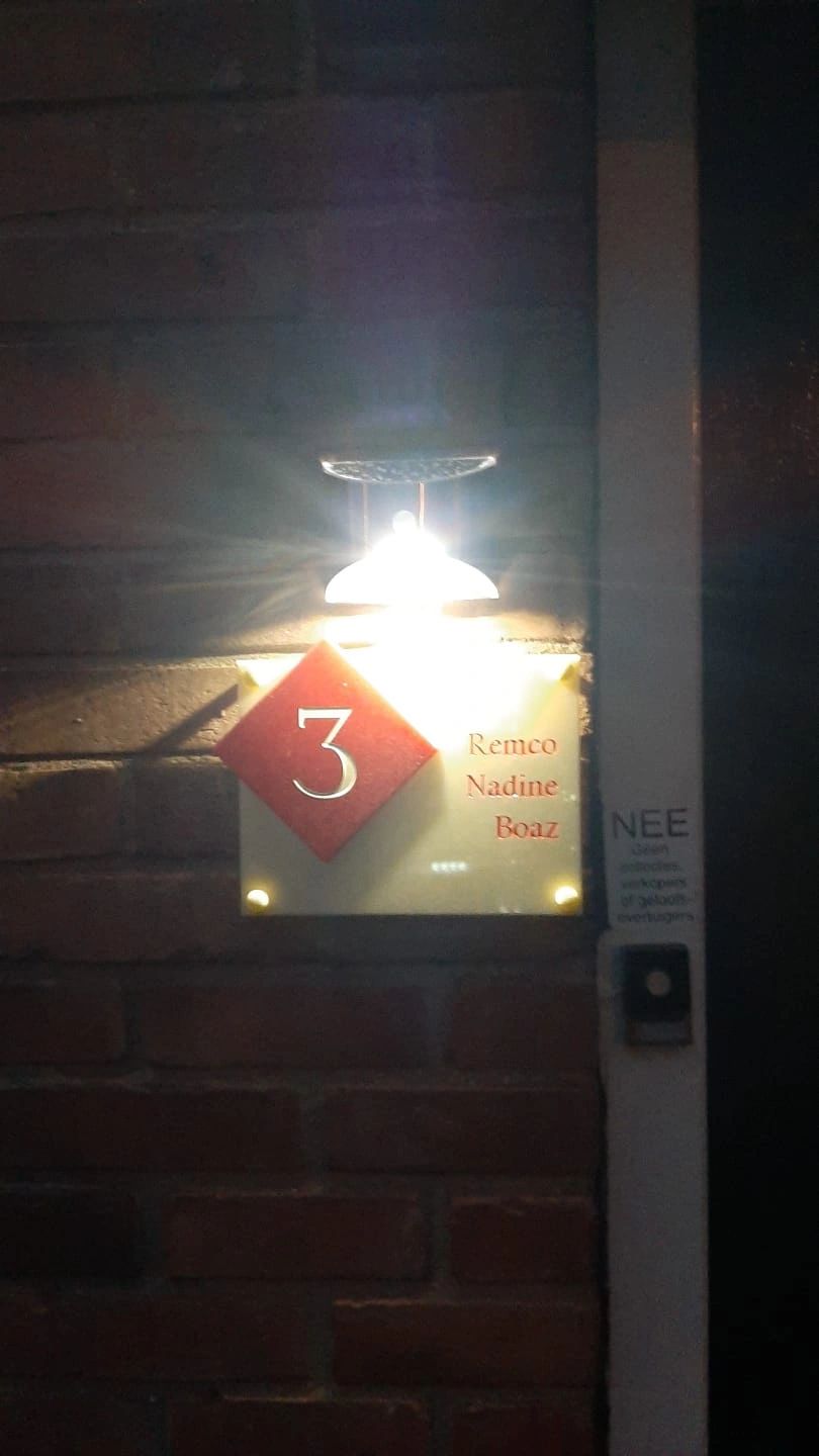 Solar wandlamp Flint RVS met bewegingsmelder op zonne energie koud wit