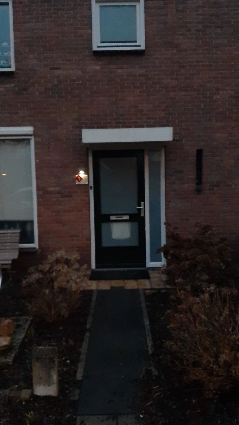 Solar wandlamp Flint RVS met bewegingsmelder op zonne energie koud wit